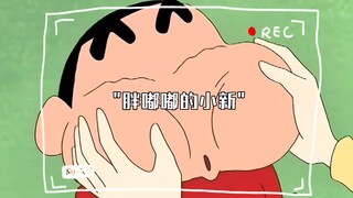 胖嘟嘟的小新