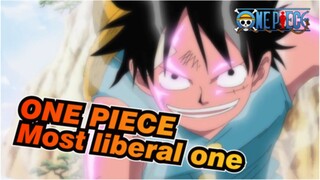 ONE PIECE|I never thought of ruling sea, and the most liberal one is the king of pirates