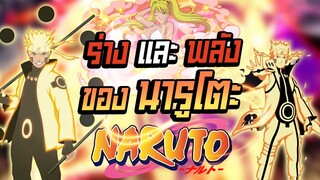 Naruto ร่างและพลังตั้งแต่อดีตถึงปัจจุบัน | Anime Planet