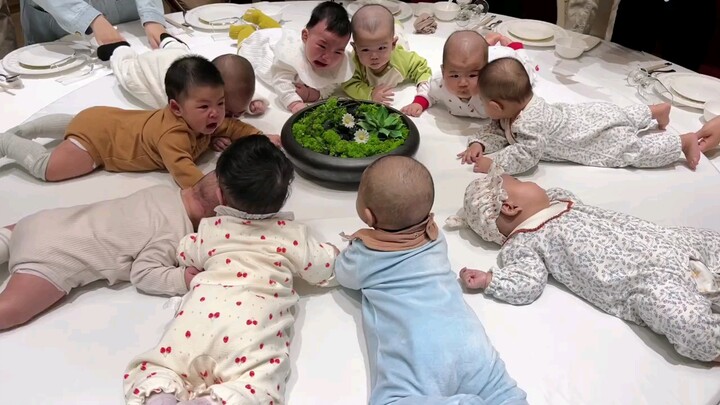 The 5-month-old baby group gathering was a complete success. It's so happy to have a baby who sleeps