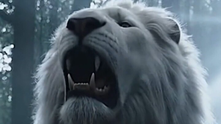 Jungle Guardian: White Lion Saga part1