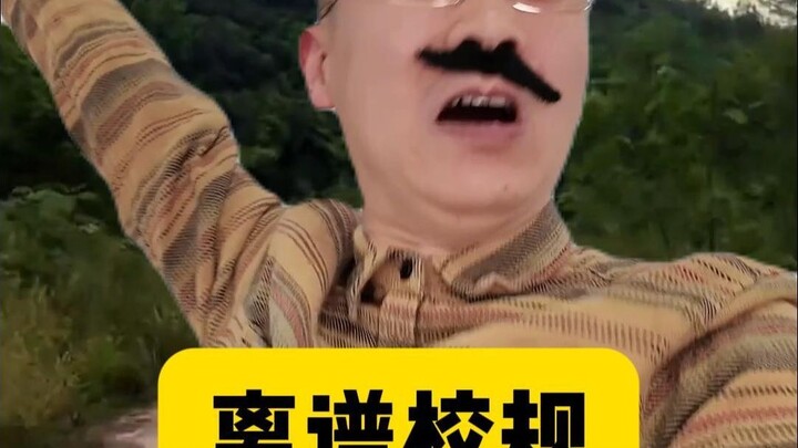 骑大象吗？有点意思～