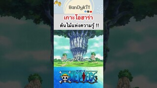 วันพีช:เกาะโอฮาร่า #shorts #roblox #bloxfruits #fypシ #onepiece #tiktok #anime #gaming #bandykit