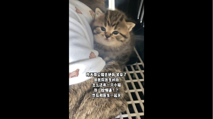 崽：绝了我爸就不能绝我了哦～