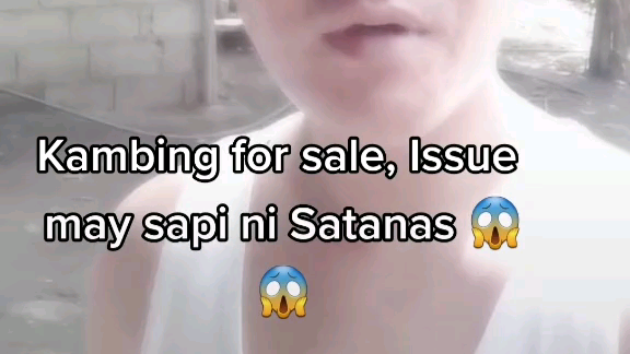 kambing for sale 🤣🤣 ang issue is may sapi.hahaha