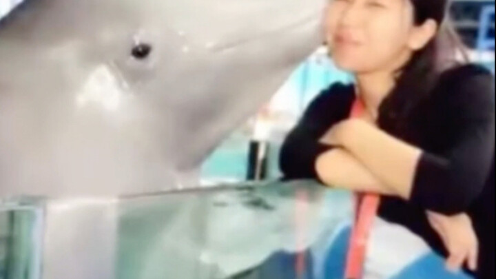 Dunia tidak membutuhkan kolam; mereka sejatinya milik lautan luas.