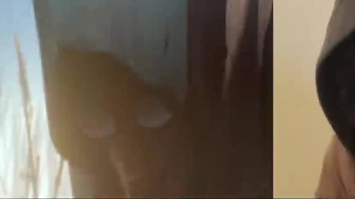 คุณไม่เคยเห็น "RISE" มาก่อน! การบูรณะที่สมบูรณ์แบบ!