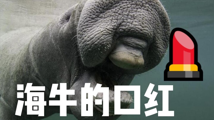 Manatee: Everyone, any recommendations for waterproof, non-smudging lipsticks?