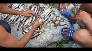 bare hand fishing in Nepal | himalayan trout fishing | asala fishing |