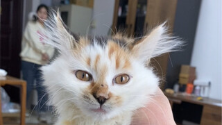 黄油手孔老师一血前耻