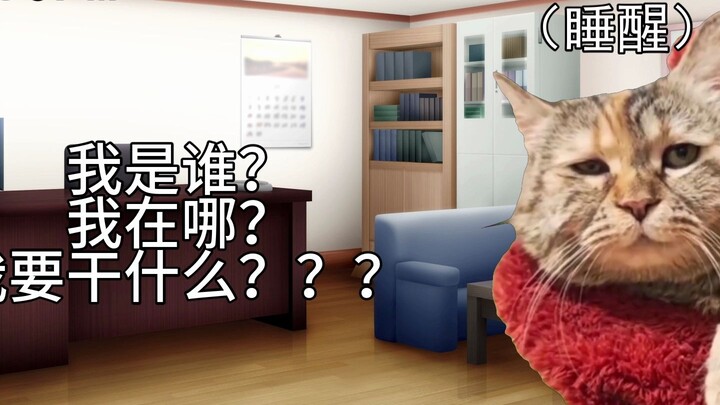【Meme kucing】Keseharian santai saat bekerja di sebuah instansi pemerintah yang ketat dalam seleksi