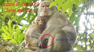 New Update 17, Sep 2019! Congratulation Janet Monkey Met Her Mom Jane, Thanks VO's For Help Them