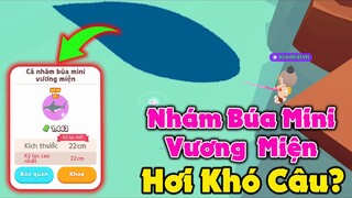 Play Together | Câu Cá Nhám Búa Mini Vương Miện | Khó Ghê Săn Mãi Mới Ra :((((