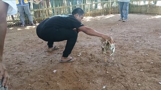 nagtapat ang parehas bulag. pero win tayo jan mga idol bulik ung akin jan
