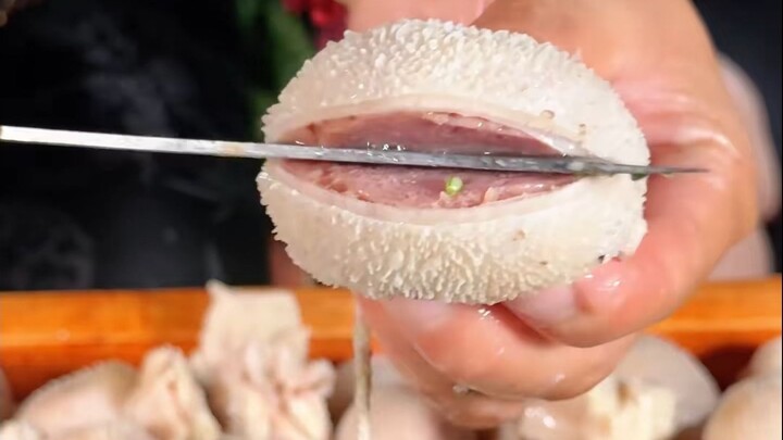 A day of being questioned by a Northeastern big brother—turns out it really does take 40 pounds of m