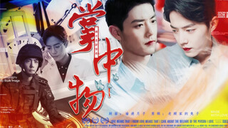 Xiao Zhan Narcissus | Watch the second episode of "Objects in the Palm" | Love of KILL | "What did h
