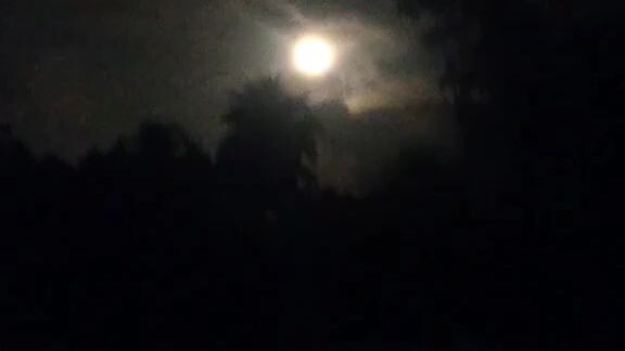 hello my luna🥰😍