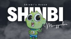 Menggambar dan Bercerita Tentang 3 Fakta Menarik Shinbi dari Shinbi’s House