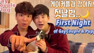 ENG) คู่เกย์ใช้เวลาคืนแรกกับสุนัข/คู่รักเกย์เกาหลี/vlog