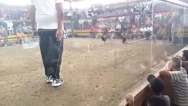 second fight win parin Tayo Dyan mga bossing