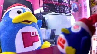 Tokyo Shin-Okubo🐶Shop Town♪💖4K non-stop 1 hour