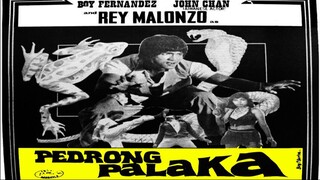 Pedrong Palaka 1980 REY MALONZO FILM