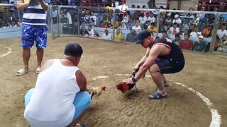 San Vicente cockpit arena #ERVA&TGF Team🐓