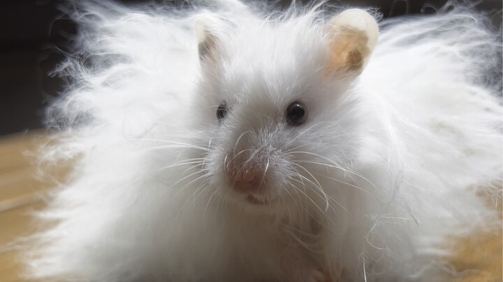 Little one, be happy!