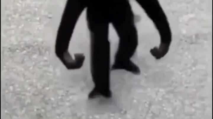 You scared me!
