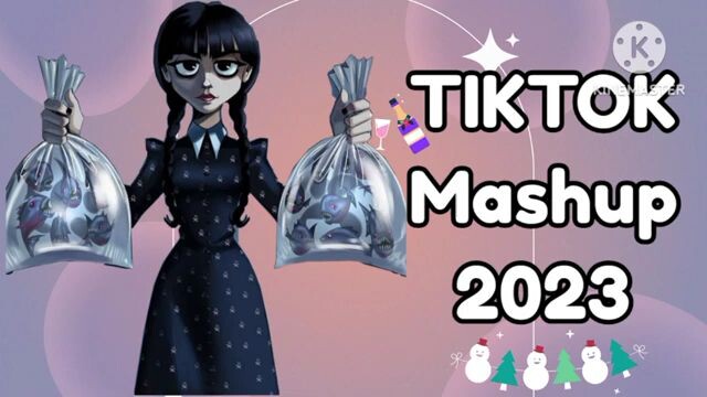 tiktok mashup 2023 😊