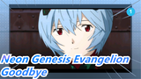 [Neon Genesis Evangelion] Goodbye, Evangelion and Rei Ayanami_1