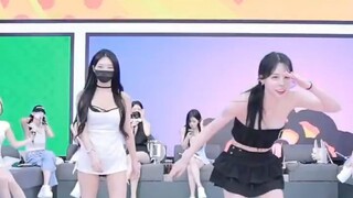 Panda Class KBJTV Korea