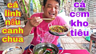 Canh chua cá linh, cá cơm kho tiêu quá ngon! Tâm Chè Vĩnh Long