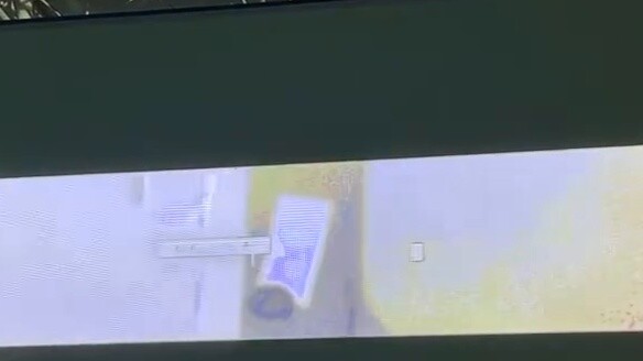 [Ikan Goreng Pedas] Saya menari mengikuti lagu anak-anak Ibu Angsa yang tidak dikenal di sekolah dan