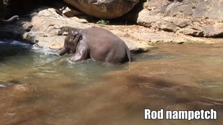 ช่วงนี้อากาศมันร้อนครับพาน้ำเพชรมาเล่นน้ำตกจ้า