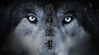【MAD/Wolf Pack/Mixed Cut】تجسيد البرية——Wolf Animals