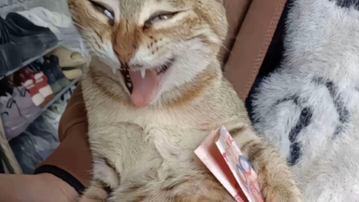 TikTok Funny: YES!!!
