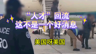 你们都听说了吧？美国专机把“人才”都送回来了！