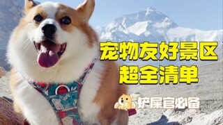 【超全清单】264个可以带狗狗玩的景区，快安排上！