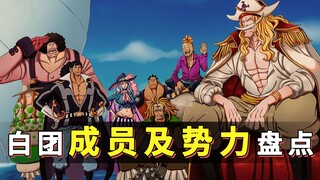 白胡子海贼团成员及麾下船长盘点：最强海贼团，当之无愧！