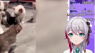 Gadis natural Jepang menonton "Tikus"