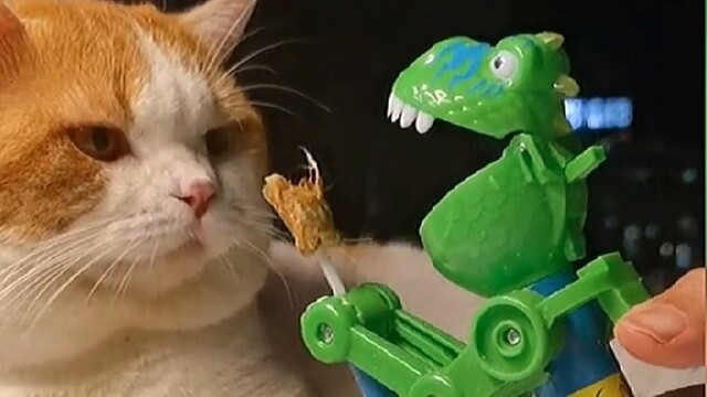 Cat: I have never been so speechless in my life!