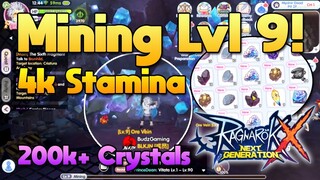 Mining At Level 9 Ore Veins Is It Good? [ROX]