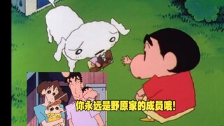 国语漏集，远在胯下痛的暖男小新给小白送照片，你永远是野原一家的成员哦！蜡笔小新