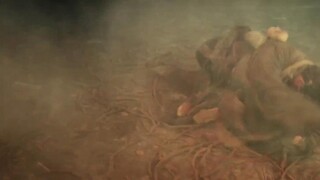 Kim Xà Phu Nhân Full Movie [Sub Việt]
