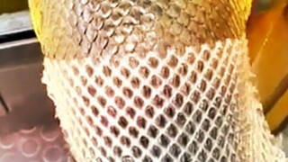 看蛇脱皮，太解压了！