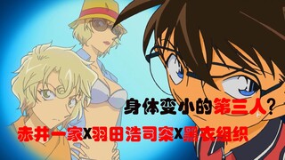 [Conan Main Line Issue 19] The third person whose body has become smaller! The Akai family x the cas