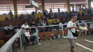 magaling na tagalog super