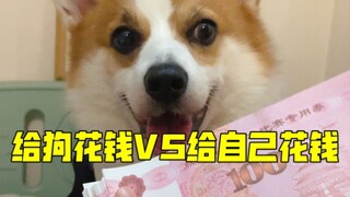 给狗花钱VS给自己花钱