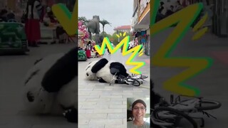 Cute panda ❤️ 🐼 #status #subscribe #trending #viral #shortsvideo #video #shorts #funny #share